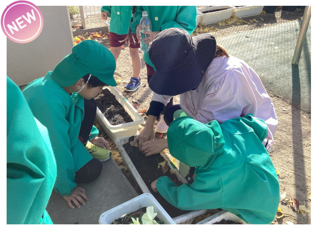 浜松市 こども園 球根植え